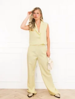 Britt pantalon geel