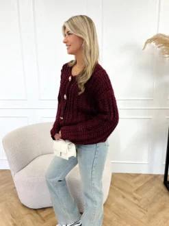 Eleanor vest bordeaux