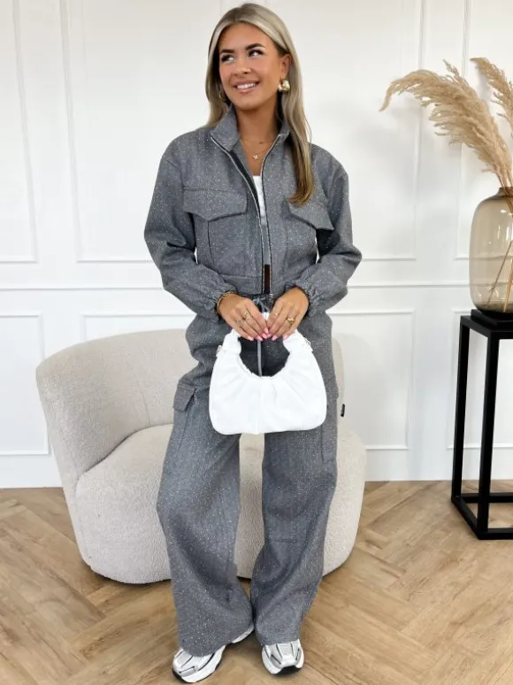 Elise strass broek grijs