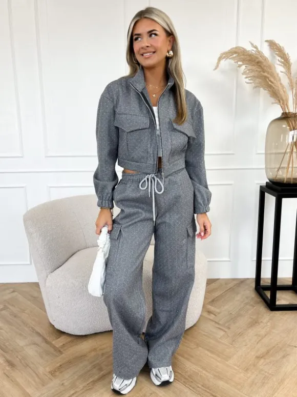 Elise strass broek grijs