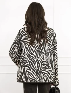Novi jasje zebra