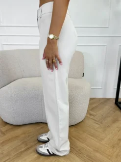 Terri pantalon beige