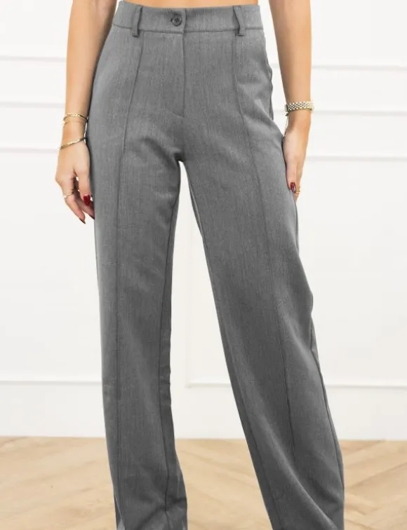 Terri pantalon grijs