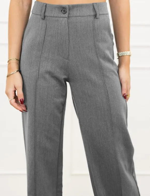 Terri pantalon grijs
