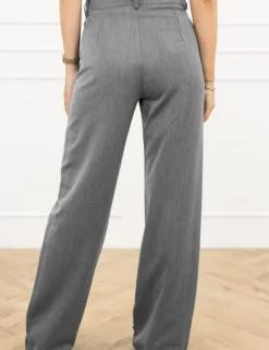Terri pantalon grijs
